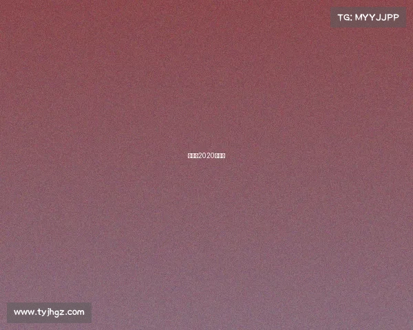 法国队2020年赛程